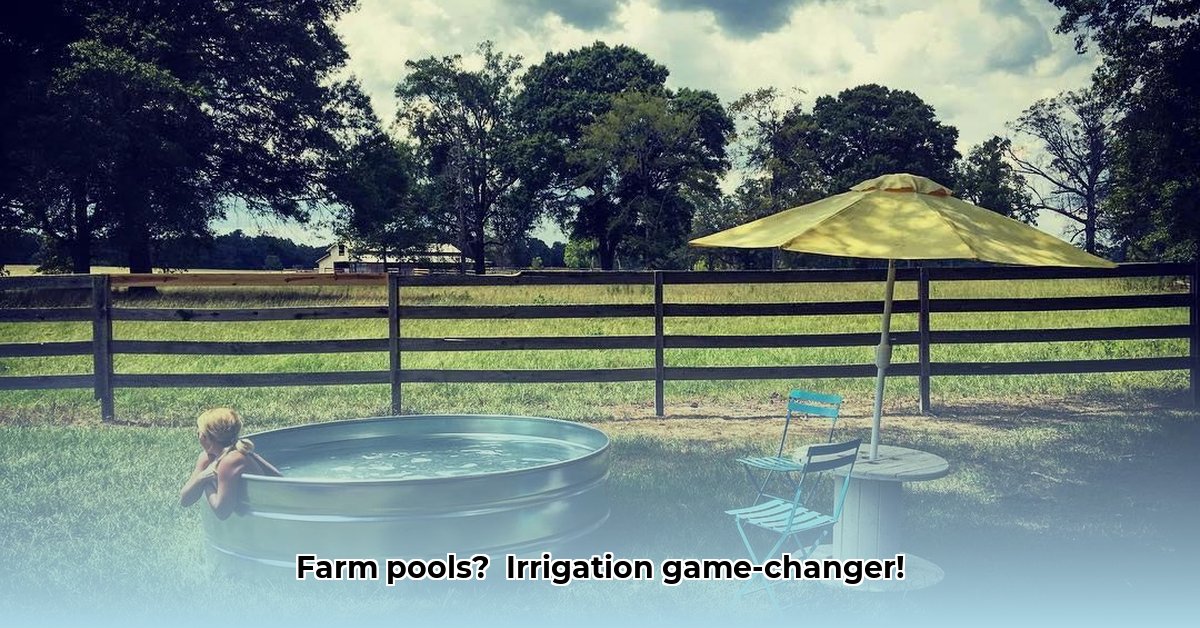 pools-at-tractor-supply